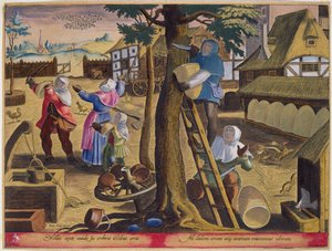 Apiculteurs, planche 83 de 